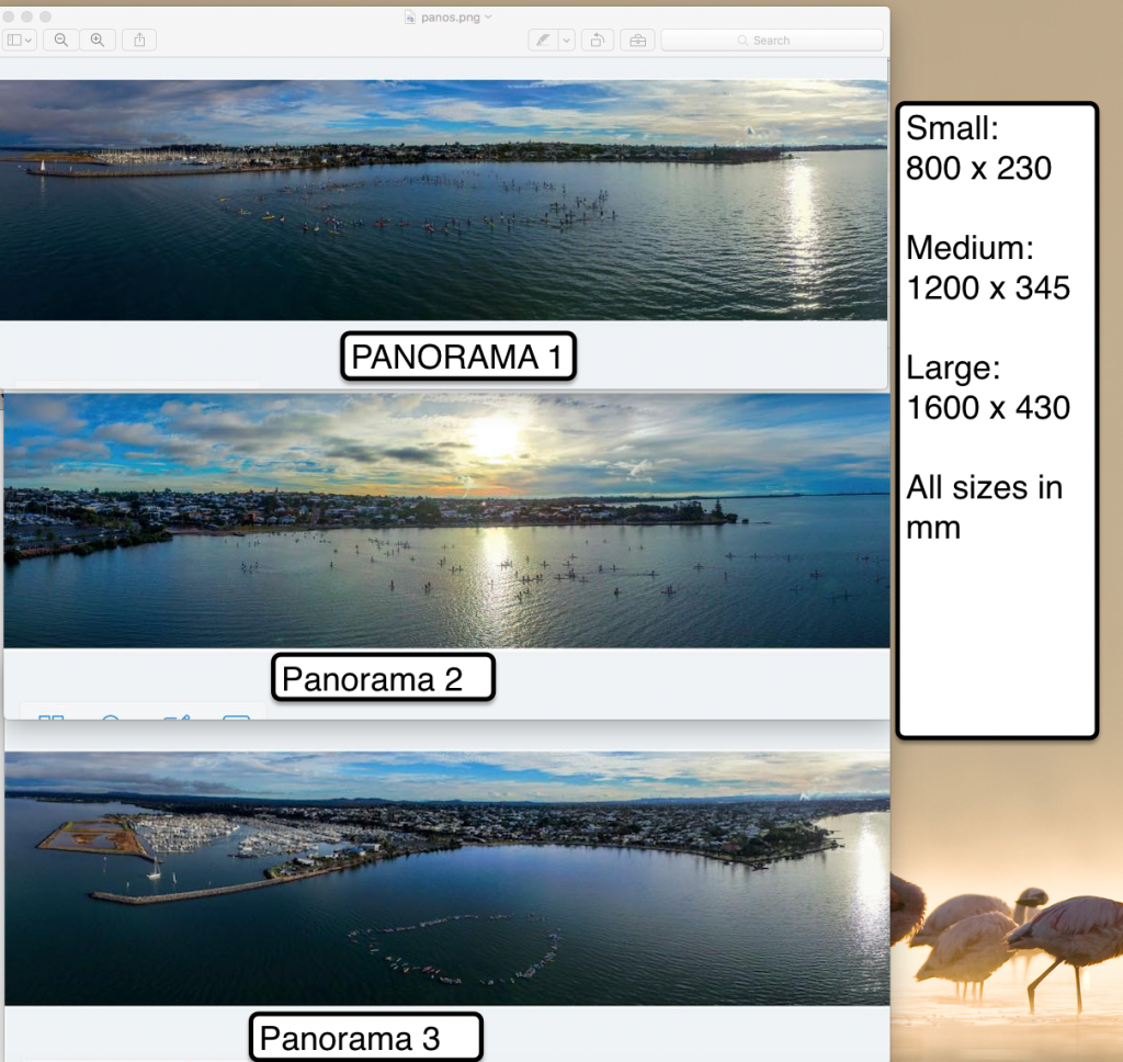 panos-sizes